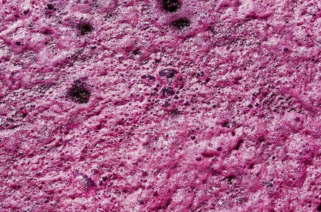 Un po' di chimica: la fermentazione malolattica - Divinoest