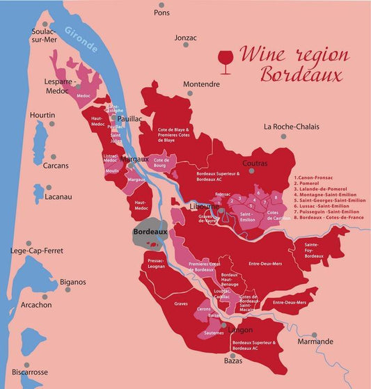 La magia del Bordeaux - Divinoest