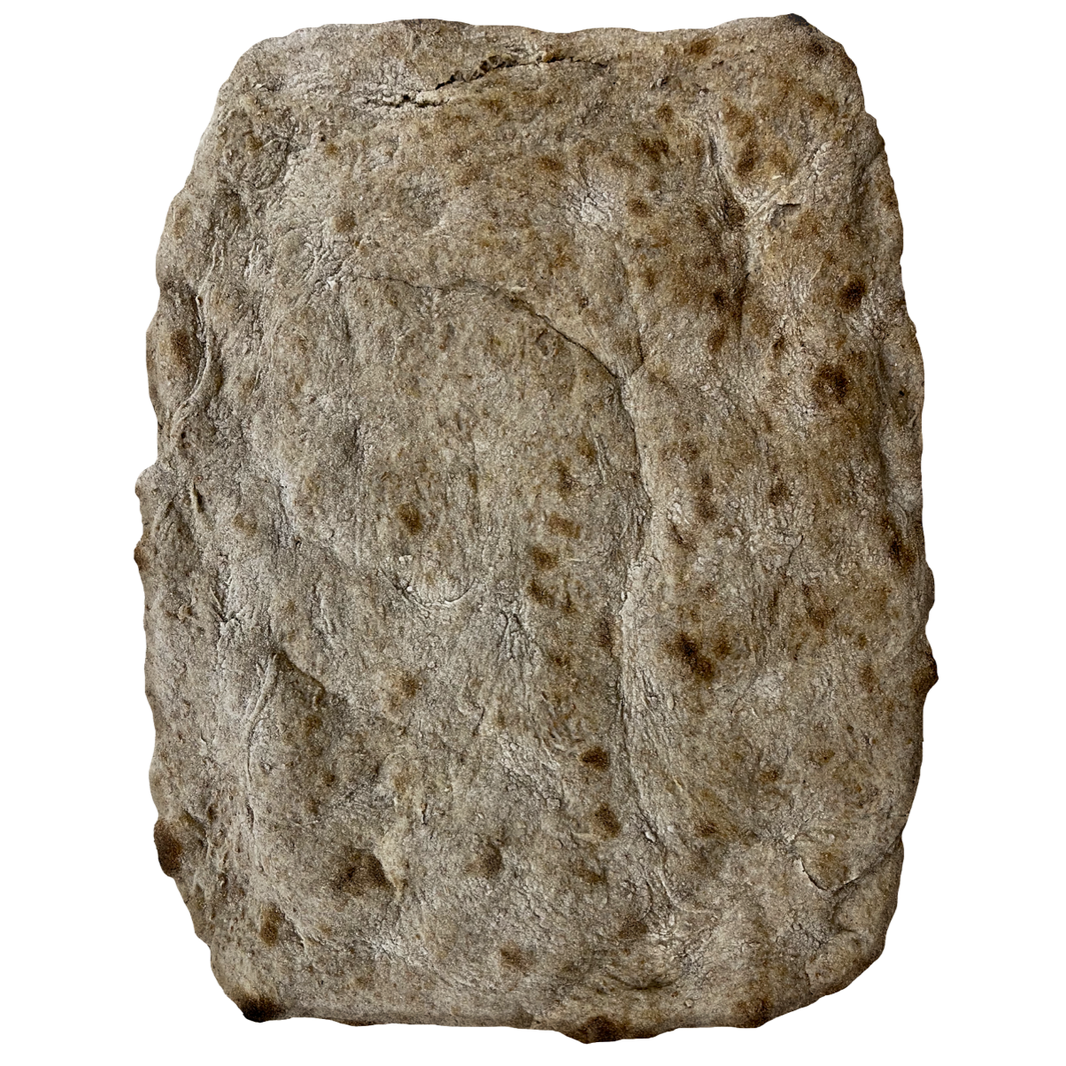 Schiacciata con farina integrale